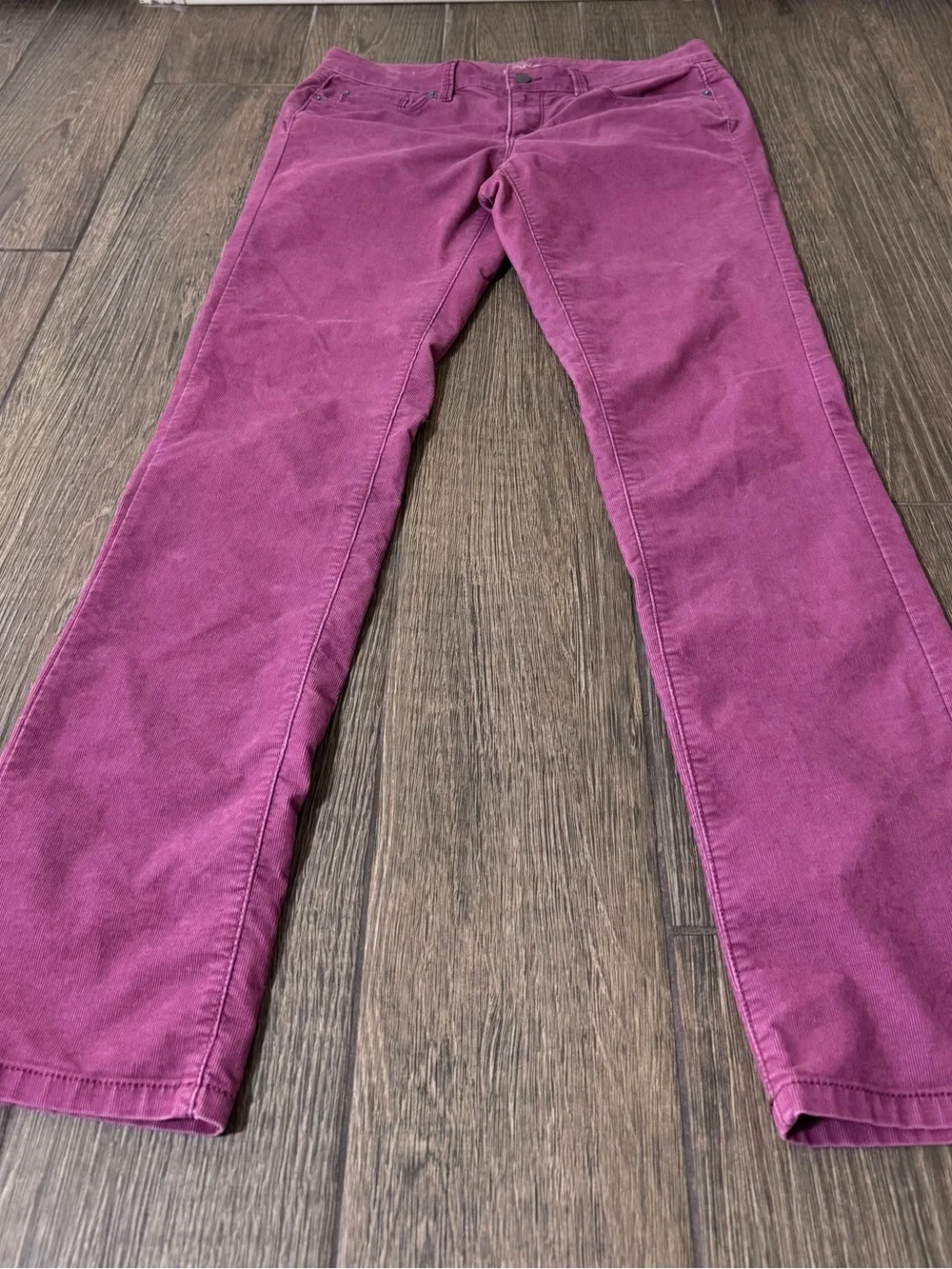Ann Taylor Loft Size 6/28 Soft Berry Pants